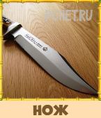 Птица Говорун 3 Буквы Птица Говорун 3 Буквы