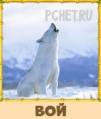 Птица Говорун 3 Буквы Птица Говорун 3 Буквы