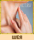 Птица Говорун 3 Буквы Птица Говорун 3 Буквы