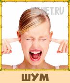 Птица Говорун 3 Буквы Птица Говорун 3 Буквы