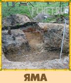 Птица Говорун 3 Буквы Птица Говорун 3 Буквы
