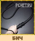Птица Говорун 3 Буквы Птица Говорун 3 Буквы