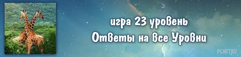 Ответ на игру 23 уровень