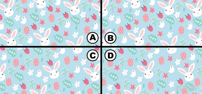 Ответы на Quiz Diva - Spot the Bunny