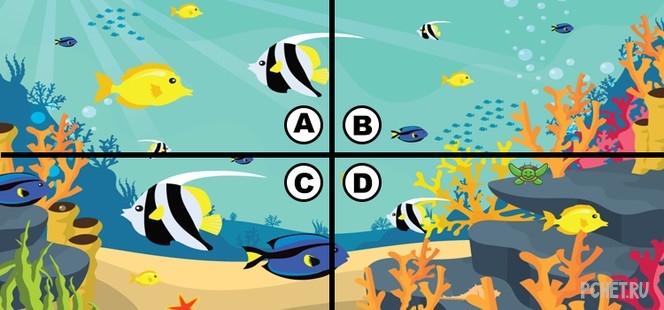 Ответы на Quiz Diva - Spot the Turtle