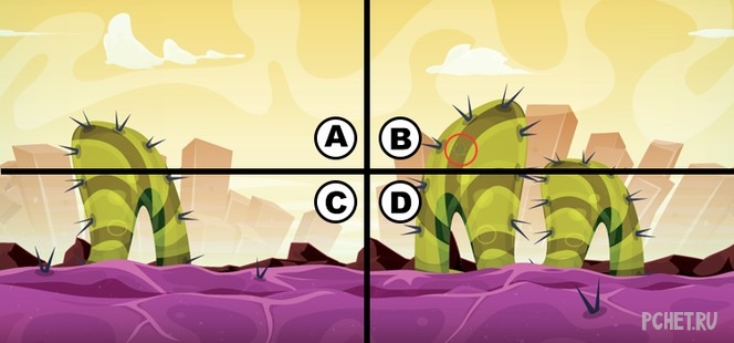 Ответы на Quiz Diva - Spot the Turtle