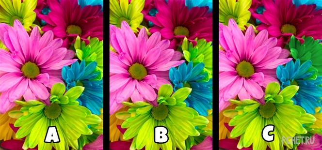 Ответы на Quiz Diva - Ultimate Spot The Difference