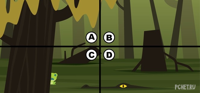 Ответы на Quiz Diva - Spot The Frog