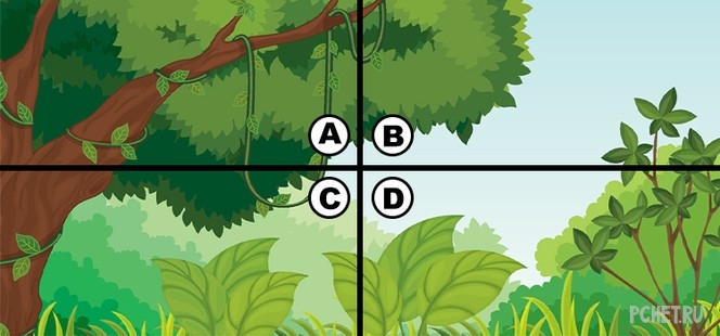 Ответы на Quiz Diva - Spot the Chameleon