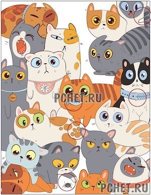 Ответы на игру Who is?