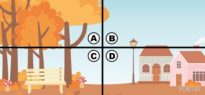 Ответы на Quiz Diva - Spot the Turkey