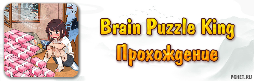 Прохождение игры Brain Puzzle King (все уровни)