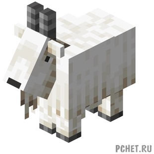 Ответы на How Well Do You Know Minecraft Mobs